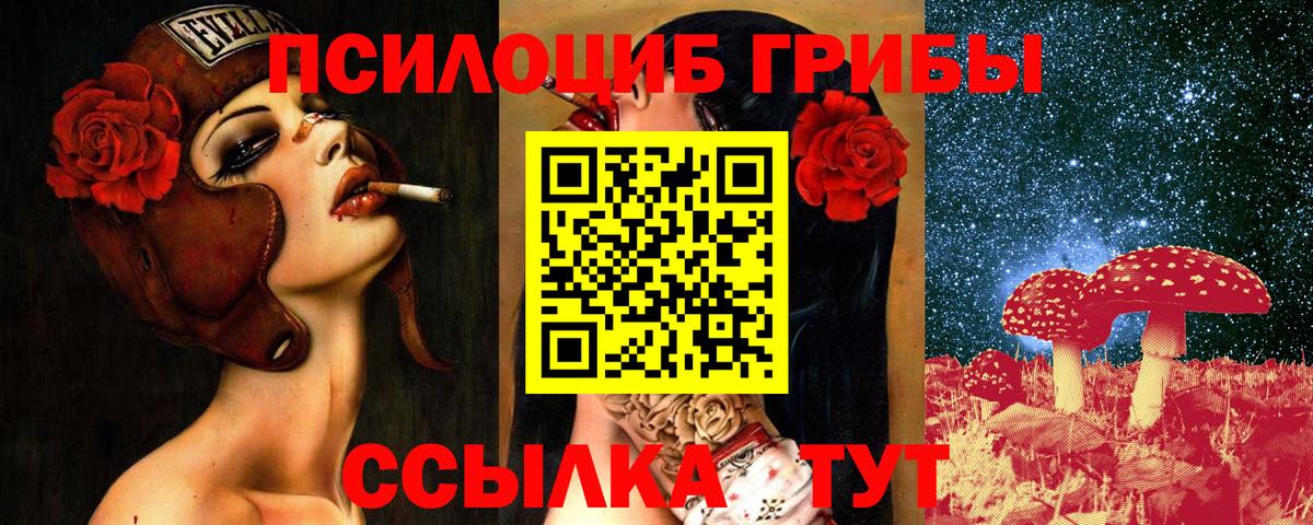 Галлюциногенные грибы Psilocybe  Вход с VPN  Тельмана  Псилоцибиновые грибы Psilocybe 